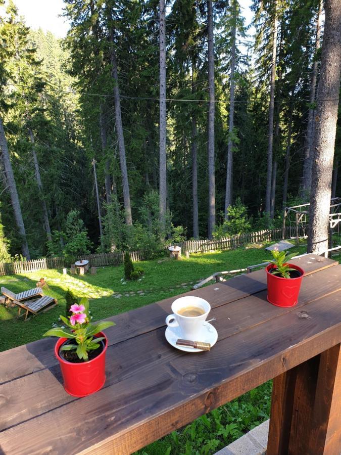 Green Life Family Apartments Pamporovo Exterior foto
